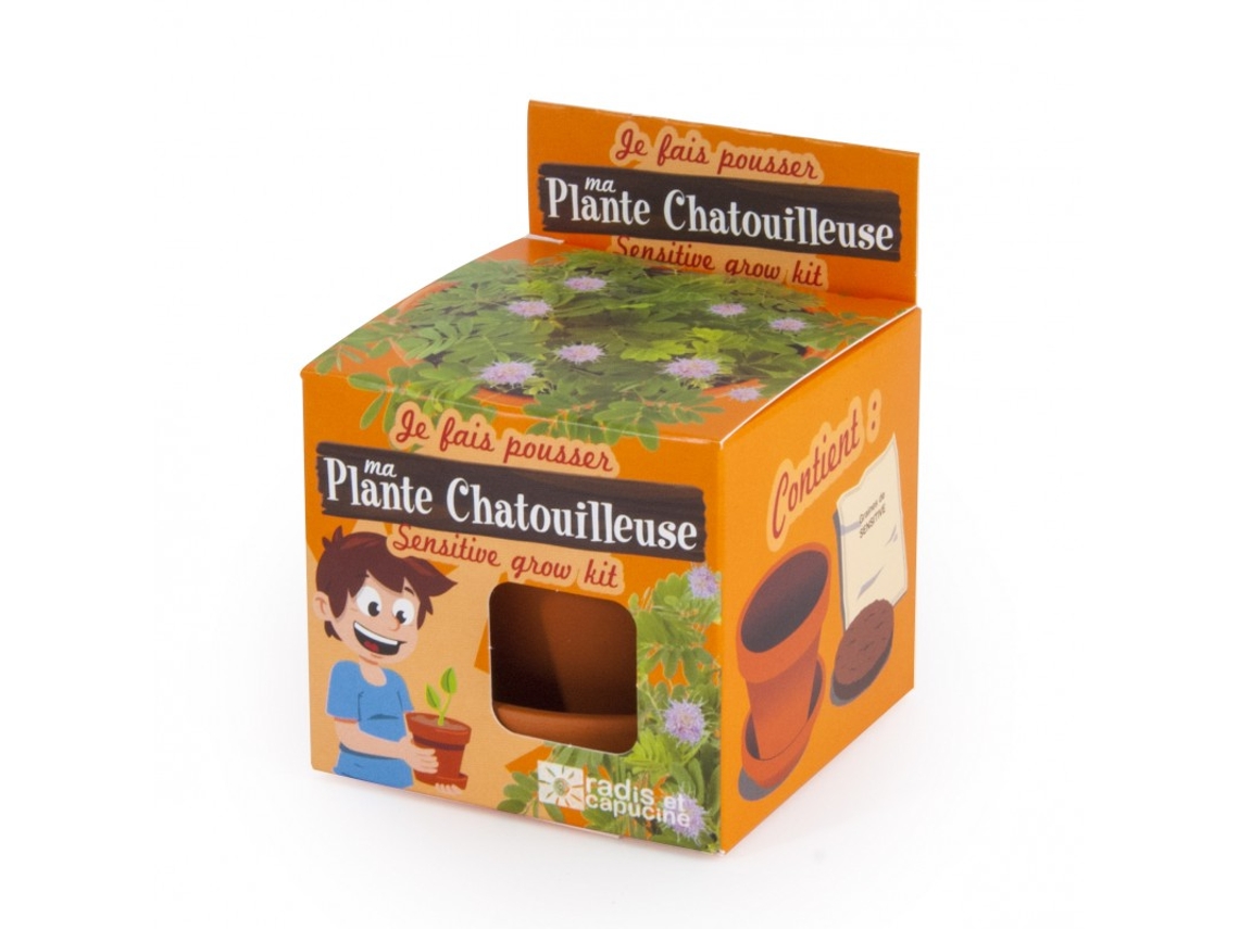 Jogo de Mesa RADIS ET CAPUCINE I Grow My Mimosa (4 Anos)