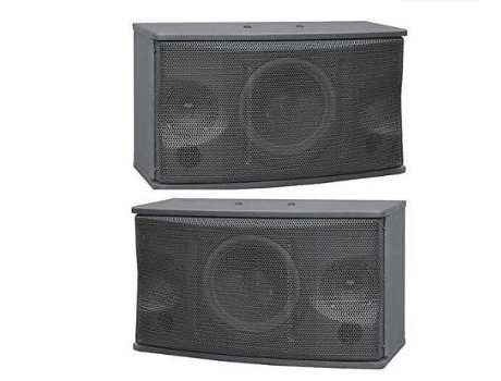 Par de parlantes acústicos pasivos de 10'' 200W