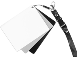 Tarjeta Gris De 13x10 Cm Con Preto Branco Y Alça Para Medición Exposición Balance Branco