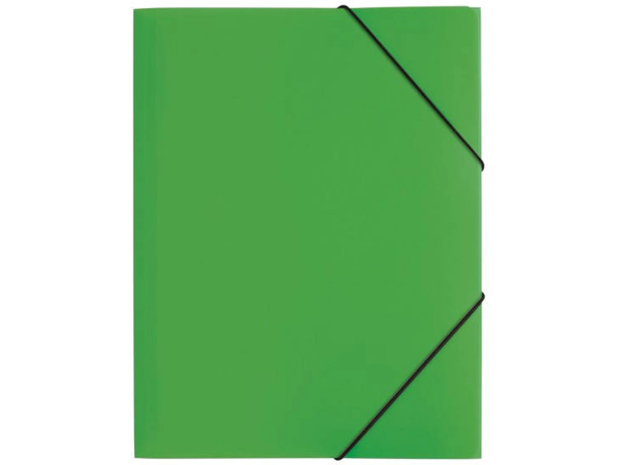 Carpeta PAGNA 21613-05 Verde (A4 - Polipropileno)