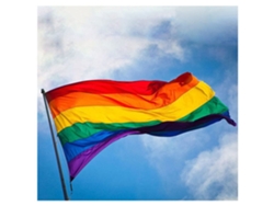 Bandera de lona del orgullo, vibrante bandera arcoíris con tela Oxford doblada y plegada, malla de poliéster resistente, adecuada para uso en interiores.