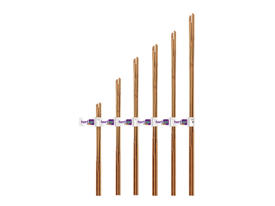 FLOWER Hort Up Tutor Bambu Natural Ø 8-10 Mm 0 90 M Pacote 4 Unidades