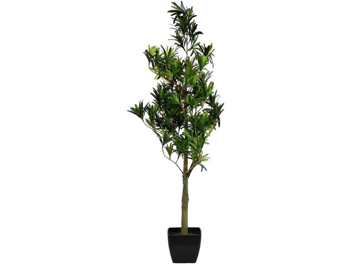 Planta Artificial EUROPALMS Podocarpus (Verde - 90 cm)