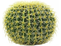 Planta Artificial EUROPALMS Barrel Cactus (Verde - 37 cm)