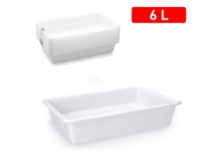 Bandeja hosteleria 6 litros 38,5x25x10 cm