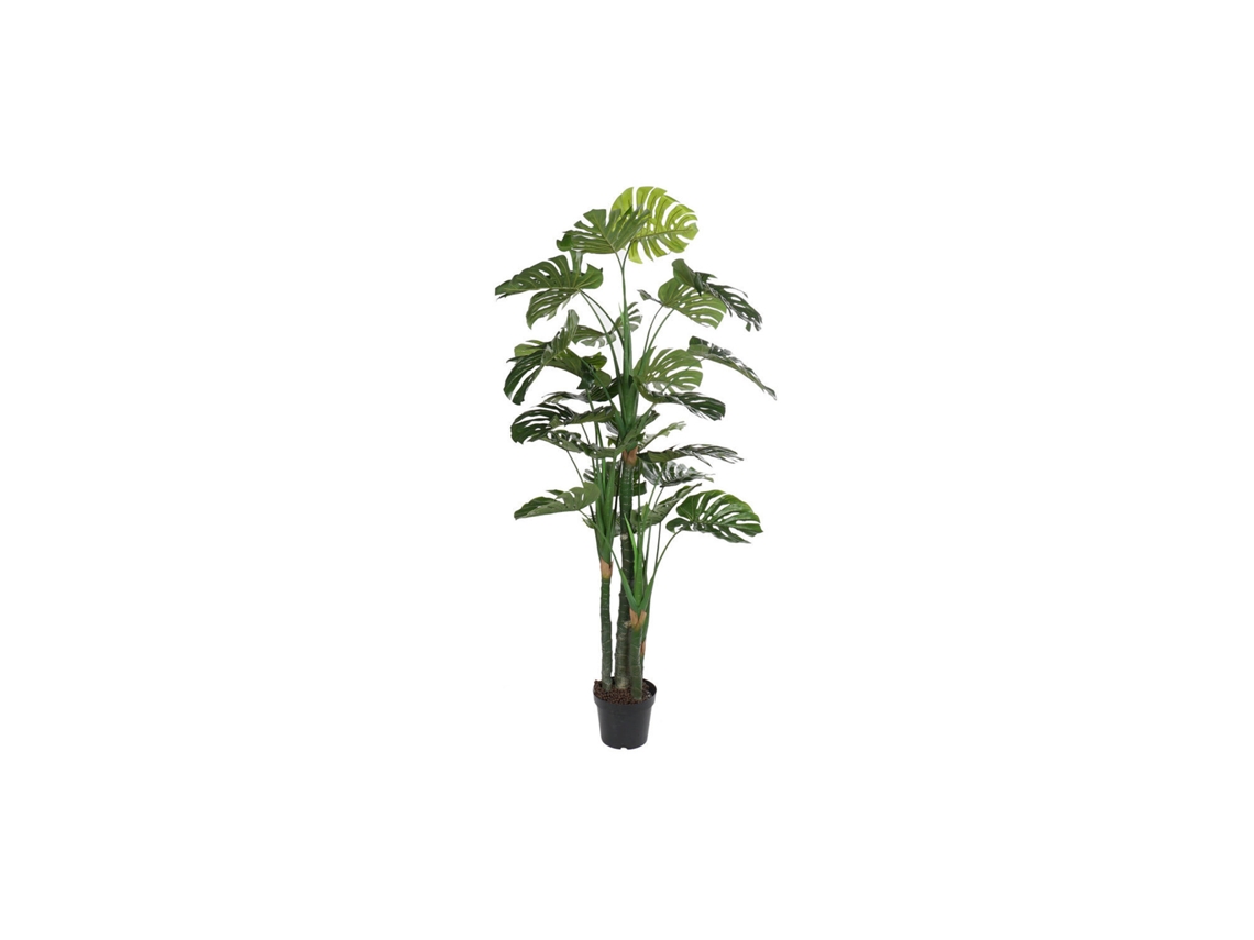 Planta Eva Pp Verde Costela de Adão 90x90x200cm ALEXANDRA HOUSE LIVING