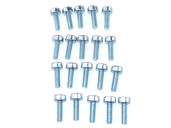 20 paquetes de tornillos estriados T27 M5x20 para motosierra Stihl, Oleo, Mac, Dolmar, Makita, cepillo, sierra desbrozadora, bordeadora, sopladora, cortasetos Lahdek