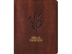 Libro Bíblia Mulheres Nvt - Uma Coluna - Oliveira Marrom Por Viviane Martinello De Viviane Martinello (portugués Do Brasil)