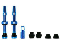 Valvula MUC-OFF Juego V2 Tubeless Turquesa