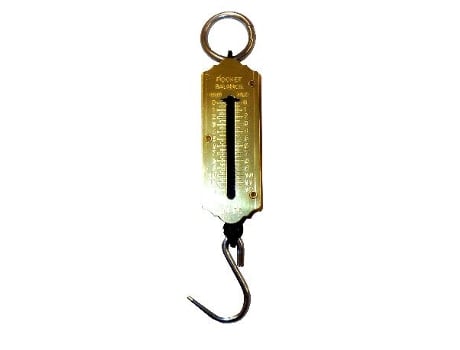 Lams peso de gancho (dinamometros) de 12,5 kg 813 (3060006)