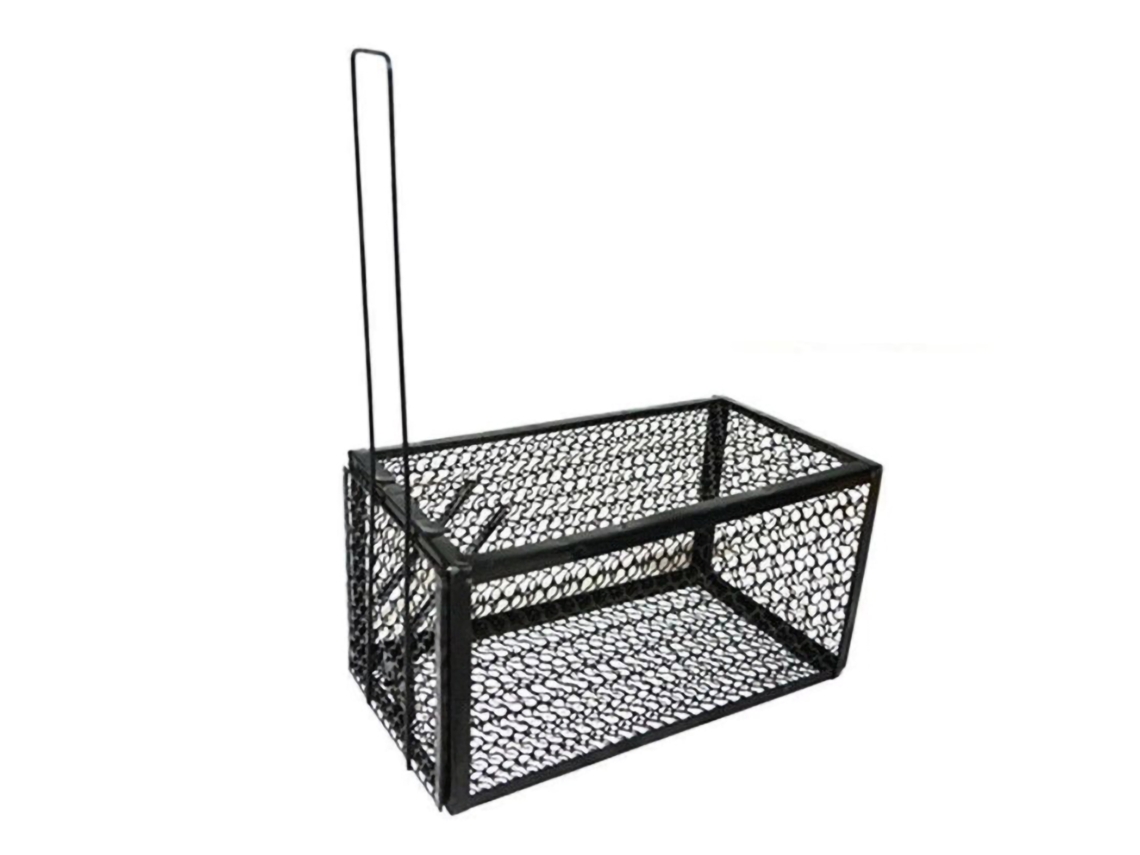 Jaula automática de acero inoxidable para atrapar ratas, ideal para el hogar o la oficina. 28x15x15 cm.