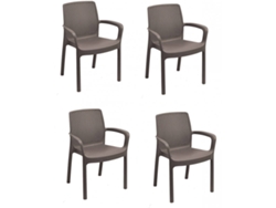 Set de 4 Sillas DMORA Marrón (Madera - 120x120x76 cm)