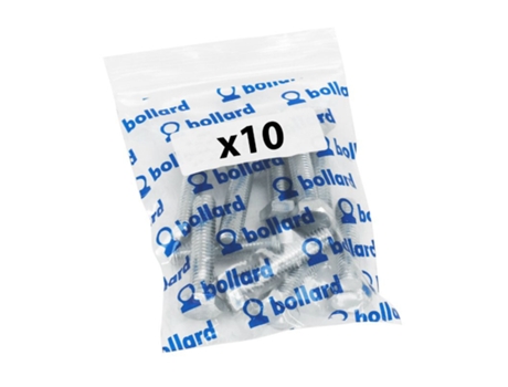 Bolsa de 10 tornillos hexagonales P2R