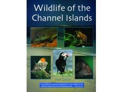 Libro Wildlife of the Channel Islands de Sue Daly (Inglés)