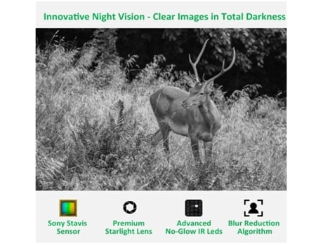 Cámara de caza para adultos, 24Mp, 1080P, transparente, 100 pies, con brillo, visión nocturna infrarroja, cámara de vida silvestre, resistente al a...