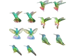 Juego De 6 Pegatinas Magnéticas Anticolisión Para Mosquiteras Con Diseños Iridiscentes De Pájaros En Pvc.
