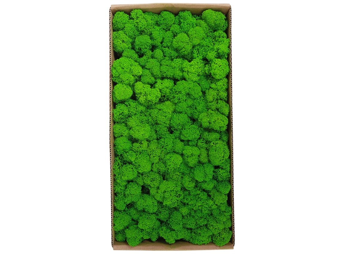 Musgo Natural Preservado Para Decoración De Paredes, Jardín, Micropaisajes, Arte Decorativo, Interiorismo, 500 G
