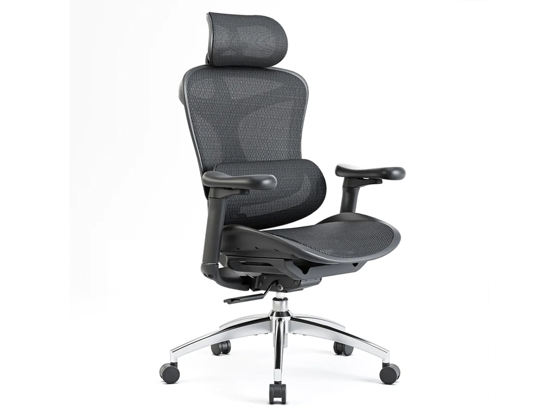 SIHOO Doro C300: Silla ergonómica con reposabrazos 3D, lumbar autoajustable, mecanismo de peso, malla (150kg). Cert. TUV/SGS. Negro.