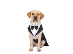 2026-traje De Tuxedo Para Perro Con Corbata De Fiesta Bodas Y Ocasiones Especiales Talla S-xxl 2xl
