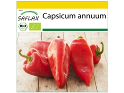 SAFLAX Conjunto de cultivo Ecológico Pimiento Marconi Rojo Largo 20 semillas Con mini invernadero, sustrato de cultivo y 2 macetas Capsicum annuum