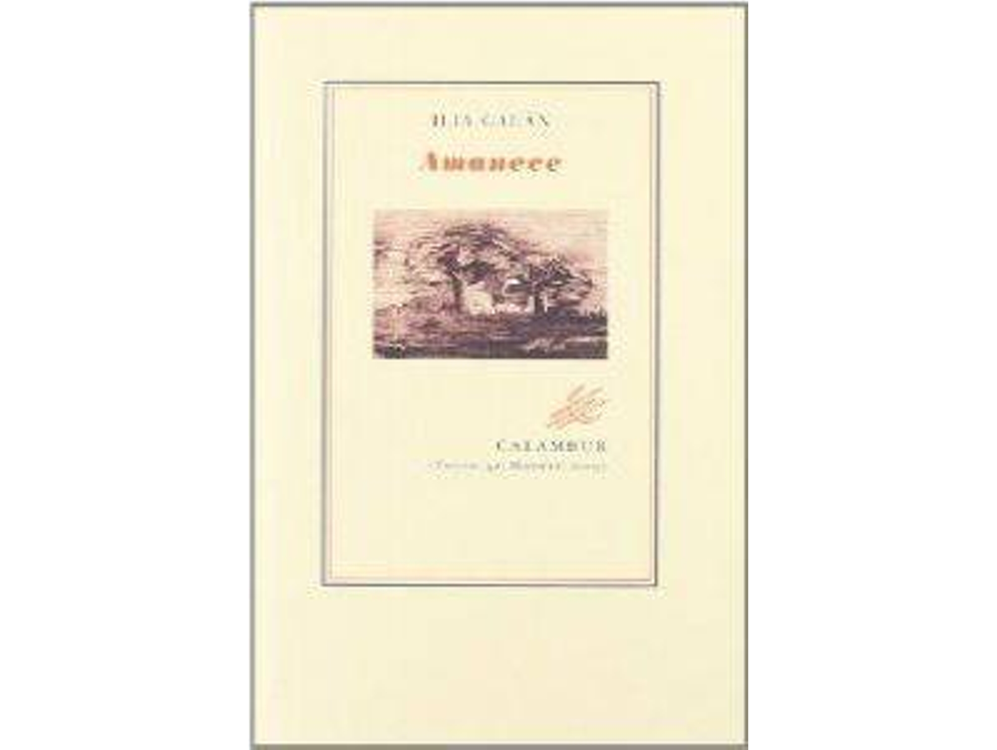 Libro Amanece de Lia Galán (Español)