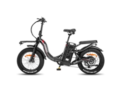 Bicicleta Eléctrica FAFREES F20 X-Max Motor 750W Batería 48V30Ah Alcance 180Km Freno de Disco Hidráulico Gris