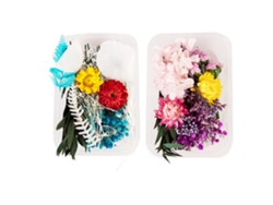 2 cajas de flores secas para resina, moldes de joyería, manualidades, velas, jabón MEOIRUERY