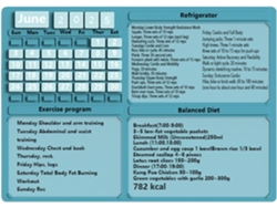 Organizador de calendario de cocina magnético de 8 x 26,9 cm para refrigerador, ideal para la planificación familiar.