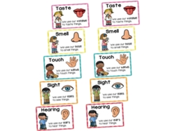 2 Conjuntos De Jogos De Cartas Educativos Para Meninos E Meninas, De Pré- Escolares O Desenvolvimento