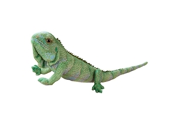 Peluche Suave De Lagarto Reptil, Simulación, Regalo Decorativo, Juguete