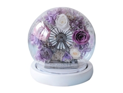 Decoración de flor eterna con rosa en cúpula de cristal en forma de noria con luz para regalos de cumpleaños y fiestas JEIIBRZUI