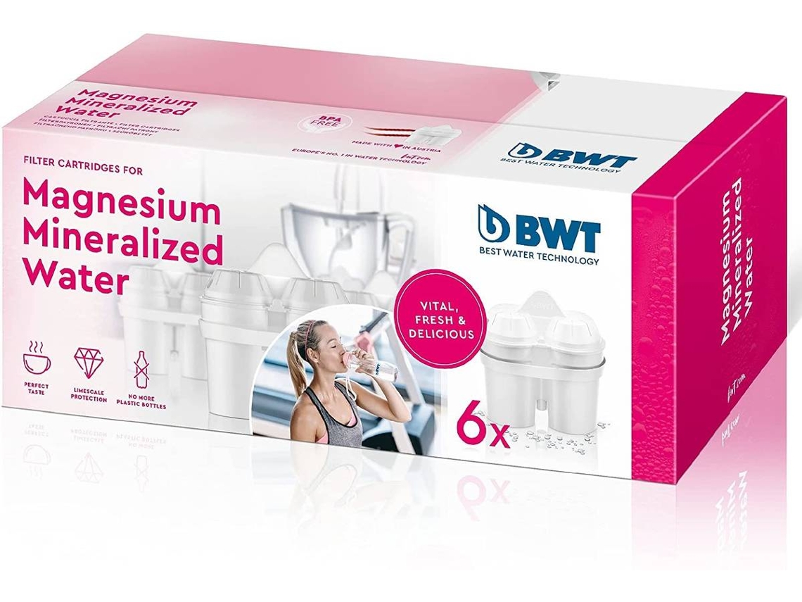Pack de 6 Filtros de Agua BWT