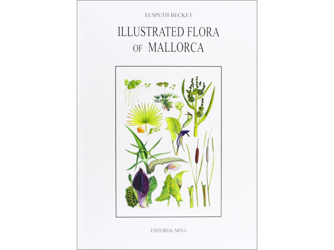 Libro Illustrated Flora Of Mca.Rustica de Elspeth Becket (Catalán)