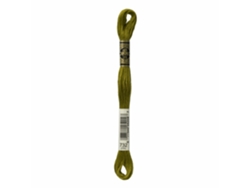 Hilo de Bordar DMC Mouline 117Mc Verde 732