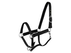 Cabezada Cuadra para caballos HORKA Elegant Poney