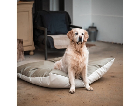 Cama para Perros THE HAPPY NEST Verde (65 x 85 cm)