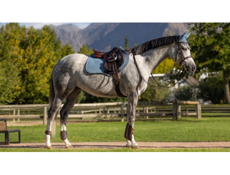 Mantilla de ante Close Contact LEMIEUX