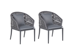 Conjunto de 2 sillas BELIANI Lipari de Aluminio Gris 56x62x89