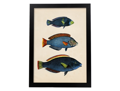 Póster NACNIC de Tres Peces Azules, con Amarillo, Verde y Rojo en , Fondo Papel Vintage.