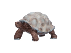 2026-figuras De Modelos De Tortuga Tortoise Figuras De Animales Salvajes Juguete Educativo Para Niños Bebés