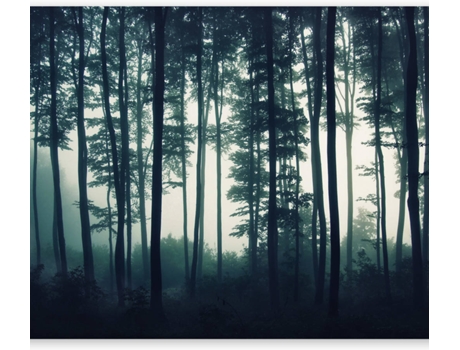 Papel de Pared ARTGEIST Dark Forest (200x140 cm)