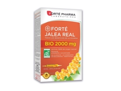 Complemento Alimentar FORTÉ PHARMA Forte Geleia Real (20 ampolas)