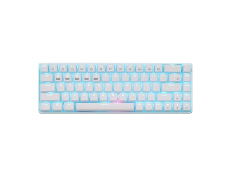 Botones de función FN para dormir automático 68 teclas Teclado mecánico retroiluminado 2.4G Bluetooth5.0 RGB Teclado inalámbrico Accesorios para co...