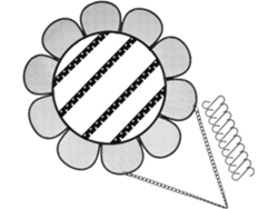 Ganchos Pendientes Negros Forma Girasol Organizador Hierro Anillos Tienda Mostrador