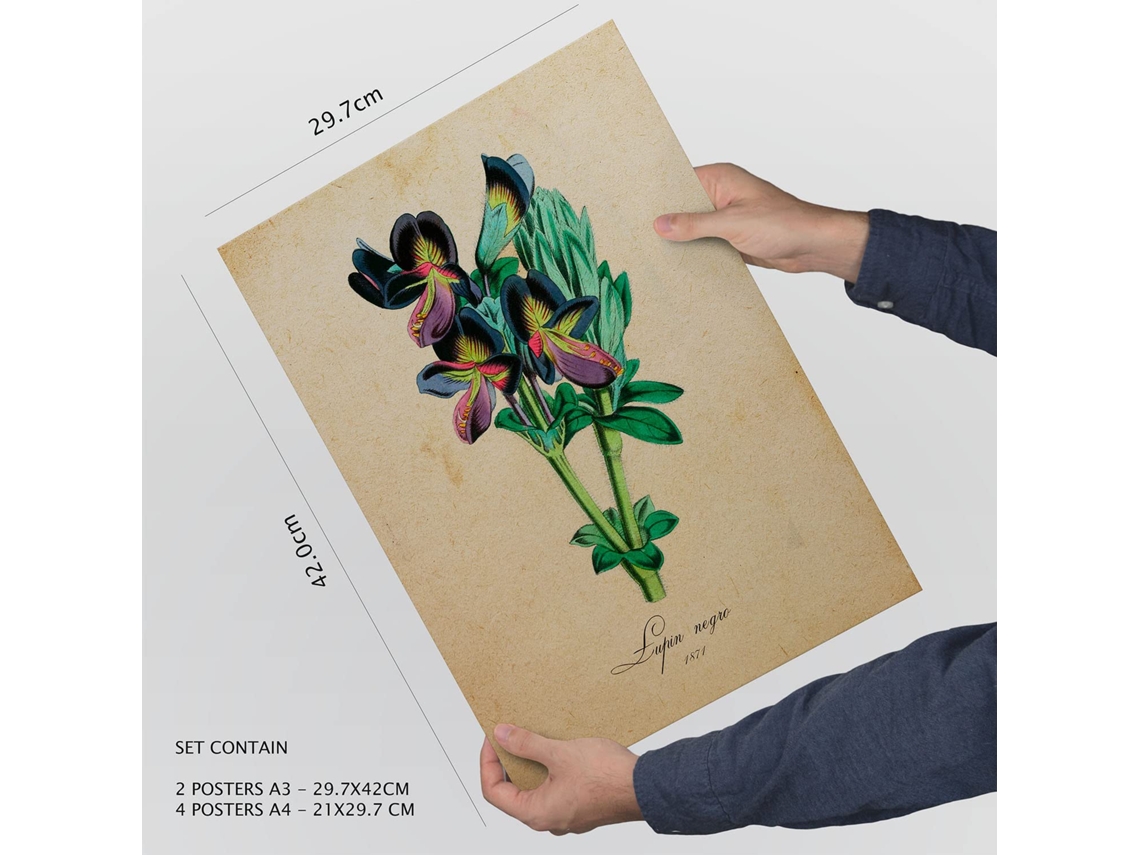 Conjunto de Pósters NACNIC (29.7 x 42 cm)