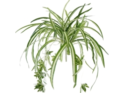 Ramo de plantas artificiales grandes de 60 cm, clorofito, decoración de pared.