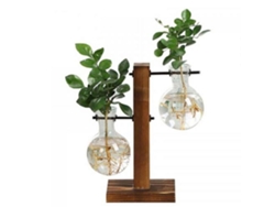 JILLIOPER Estación de Propagación de Plantas Maceta de Vidrio con Vaso para Flores y Soporte de Madera Retro para Decoración Interior, Cocina, Jardín de Mesa, B