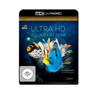 Películas Blu-Ray 4K