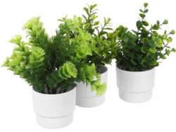 Juego De 3 Plantas Artificiales Pequeñas En Macetas Blancas A Rayas, Hojas De Eucalipto Artificiales.