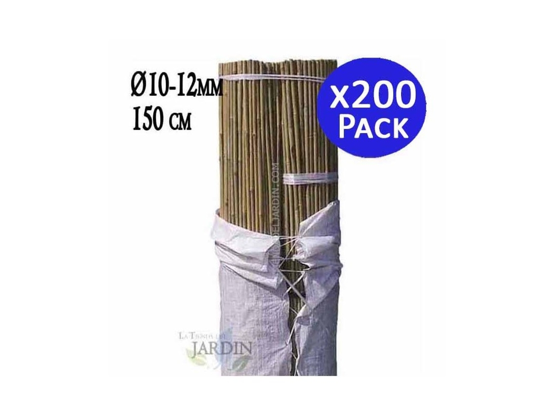 Tutor de Bambu Natural 150 Cm 10-12 Mm Pack 200 Varillas de Bambu Ecologicas para Sujetar Arboles Plantas Y Hortalizas SUINGA